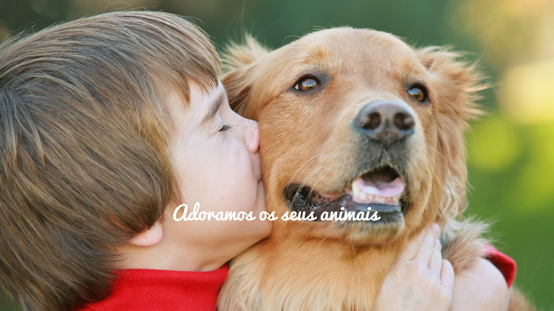 adoramos-seus-animais-05